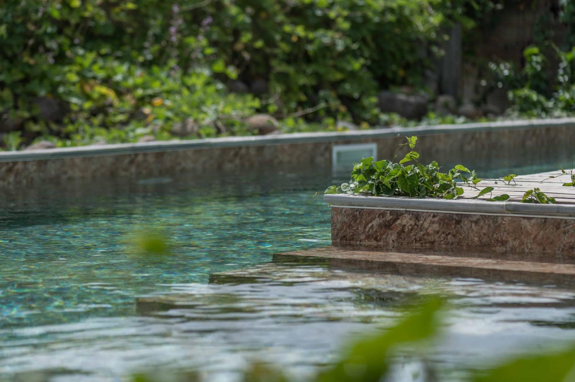 La mer de canne SECRET NATURE 1 Petit-Canal Exterior foto